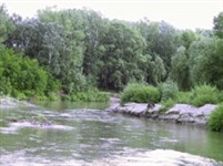 Алтайский край (река Алей)