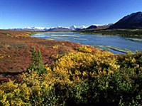 Аляска (река Суситна)