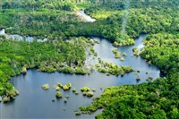 Амазонка река (тропические леса)