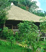 Амазонская низменность (традиционные дома)