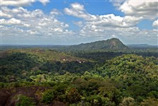 Амазонские джунгли (Республика Суринам)