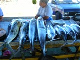 Апиа, Самоа, рыбный рынок (2009)