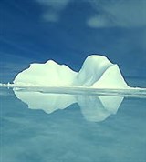 Арктика (айсберг)