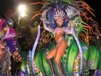 Бразильский карнавал (2008)