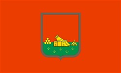 Брянск (флаг)