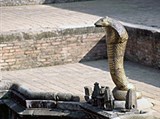 Бхактапур (каменная змея)
