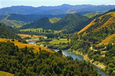 Вангануи река (Новая Зеландия)