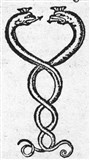 Василиск (кокатриса) 2 (символ)
