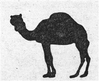 Верблюд (символ)