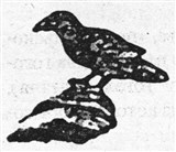 Ворон, ворона 2 (символ)