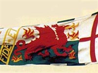 ГЕНРИХ VII Тюдор (личный флаг Генриха Тюдора)