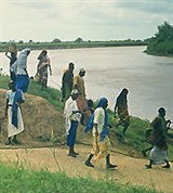 Гамбия (река Гамбия)