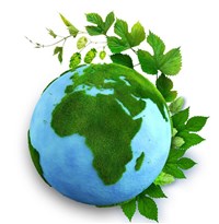 День эколога в России (коллаж)