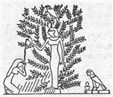 Дерево 2 (символ)