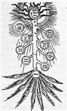 Дерево 3 (символ)