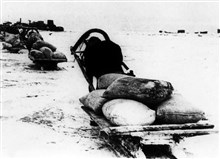 Доставка продовольствия населению Ленинграда по льду замерзшего Ладожского озера. 21 января 1942 года [Блокада Ленинграда]