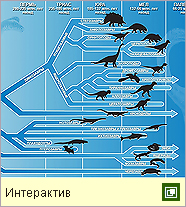Древнейшие Рептилии (основные группы)