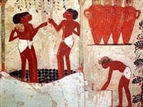 Египет Древний (виноделие)