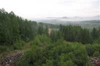 Забайкальский край (тайга)