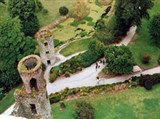 Замки Ирландии (вид с крыши Бларни)
