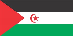 Западная Сахара (флаг)