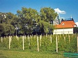Зелена-Гура (виноградники в Винном парке)