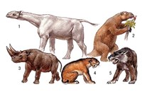 Ископаемые животные (млекопитающие)