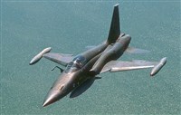 Истребитель F-5 «Тайгер»