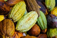 Какао-бобы (Коста-Рика)
