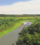 Канзас (река Тертл-крик)