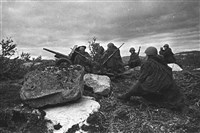Карельский фронт (45-мм орудие на позиции)