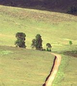 Кения (холмы Черангани)