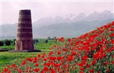 Киргизия (башня Бурана)