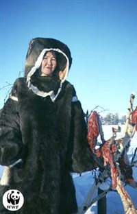 Коряки (Женщина в традиционном зимнем наряде)