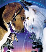Кошки и собаки (постер)