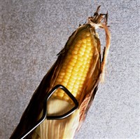 Кукуруза (1)