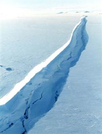 Ларсена шельфовый ледник