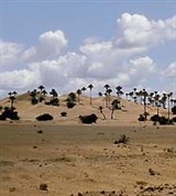 Ливия (песчаные дюны)