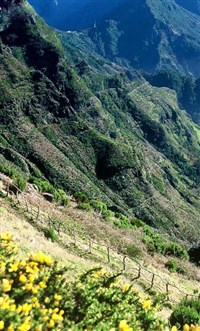 Мадейра (группа островов) (горные склоны)