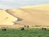 Монголия (пастбище)