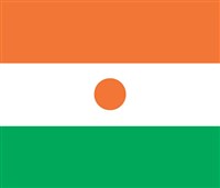 НИГЕР (флаг)