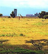 Найроби (национальный парк)