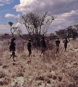 Намибия (охотники-бушмены в Калахари)