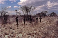 Намибия (охотники-бушмены в Калахари)
