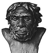 Неандертальцы (из Ла-Шапель-о-Сен)