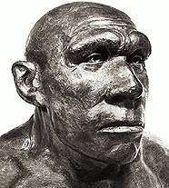 Неандертальцы (неандерталец из Монте-Чирчео)