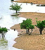 Нигер (река на территории Мали)