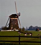 Нидерланды (голландский пейзаж)