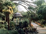 Никитский ботанический сад (верхний парк)