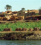 Нил (деревня на берегу Нила)